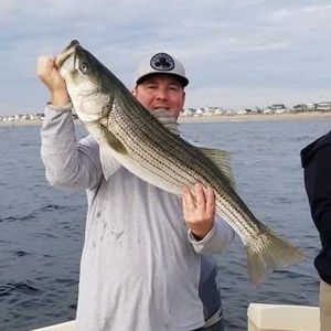 Meet your Posher, James